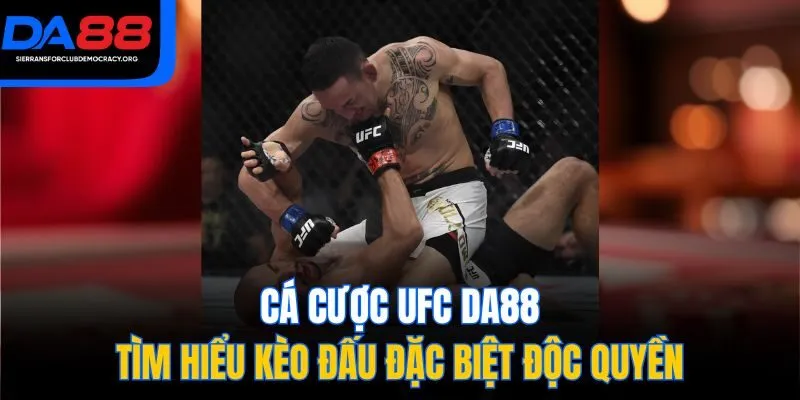 Cá Cược UFC DA88 - Tìm Hiểu Kèo Đấu Đặc Biệt Độc Quyền