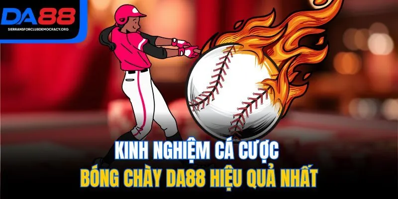 Kinh nghiệm cá cược bóng chày DA88 hiệu quả nhất