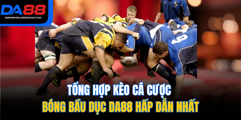 Tổng hợp kèo cá cược bóng bầu dục DA88 hấp dẫn nhất