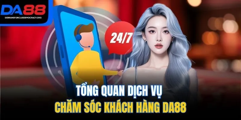 Tổng quan dịch vụ chăm sóc khách hàng DA88